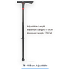 Smart Cane