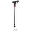 Smart Cane