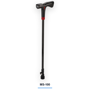Smart Cane