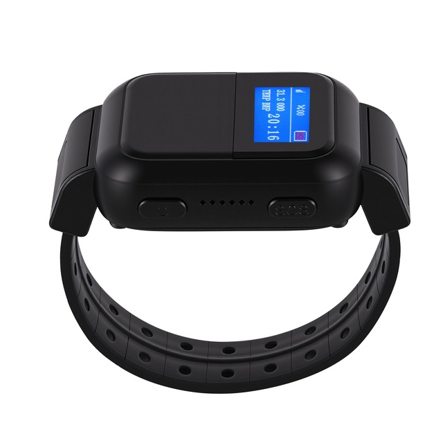 Parole elektronisk sporingsmonitor